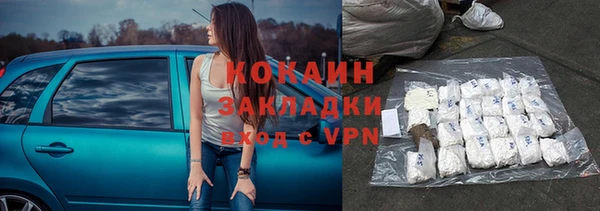 крисы Алзамай