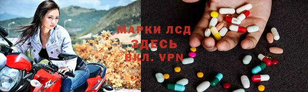 крисы Алзамай