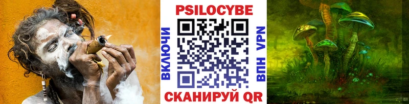 Псилоцибиновые грибы GOLDEN TEACHER  Красногорск 